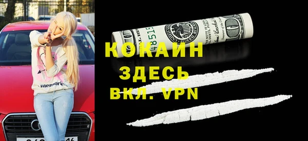 дживик Арсеньев