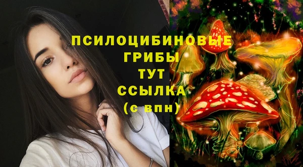 дживик Арсеньев