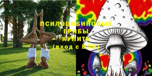 дживик Арсеньев