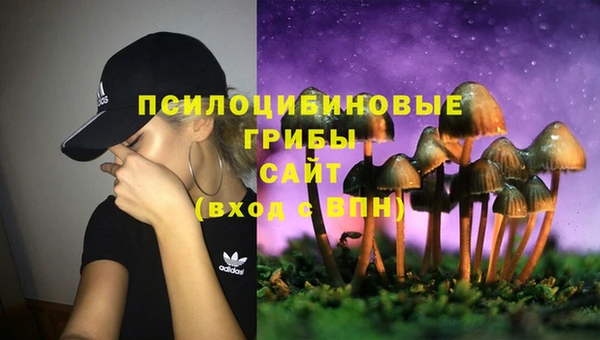 крисы Аркадак