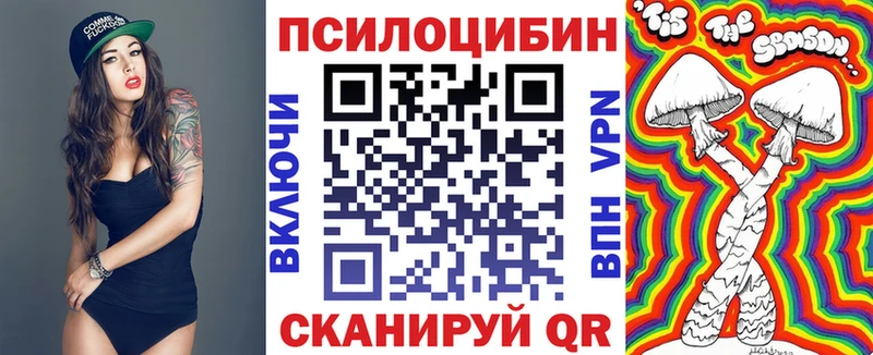 гидра маркетплейс  Пугачёв  Псилоцибиновые грибы Cubensis 